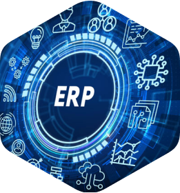 Custom ERP  Solutions